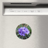 Violett-Blume-Magnet Magnet (In Situ (Geschirrspüler))