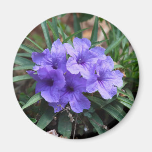Violett-Blume-Magnet Magnet