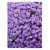 Violett-Blume Notizblock (Vorderseite)