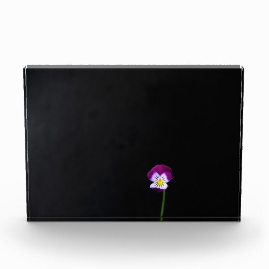 Violett-Blume pbcna Fotoblock (Vorderseite)