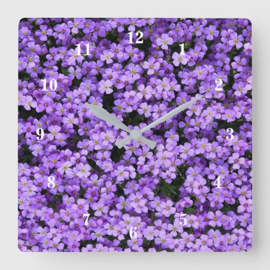 Violett-Blume Quadratische Wanduhr (Vorderseite)