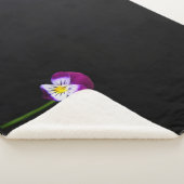 Violett-Blume sbcnm Sherpadecke (3/4)