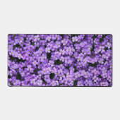 Violett Blume Schöne Violetten Schreibtischunterlage (Vorderseite)