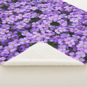 Violett-Blume Sherpadecke (3/4)