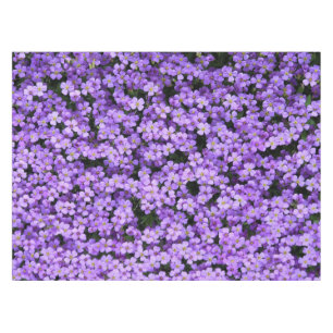 Violett Blume Tablettenfilm Violette Frühling Tischdecke