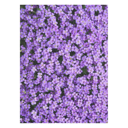 Violett Blume Tablettenfilm Violette Frühling Tischdecke (Vorderseite)