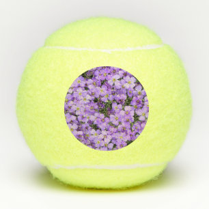 Violett Blume Tennis Balls Schöne Violetten Tennisbälle