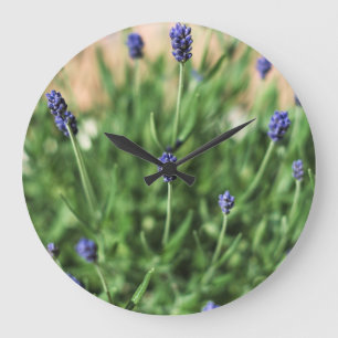 Violett-Blume - Uhr