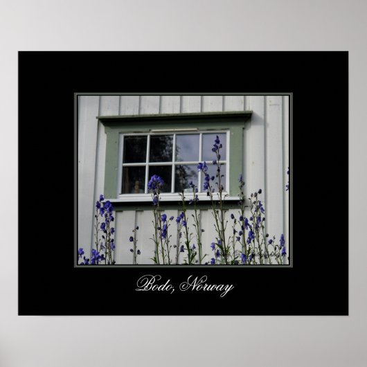 Violett-Blume und ein Windows-Poster Poster (Vorne)