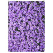 Violett-Blume Zwischenablage Klemmbrett (Rückseite)