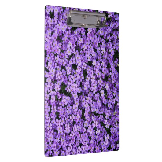 Violett-Blume Zwischenablage Klemmbrett (Rechts)