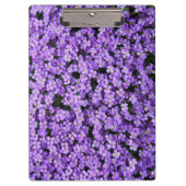 Violett-Blume Zwischenablage Klemmbrett (Vorderseite)