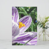 Violett-Frühlingscrocus Briefpapier (Stehend Vorderseite)