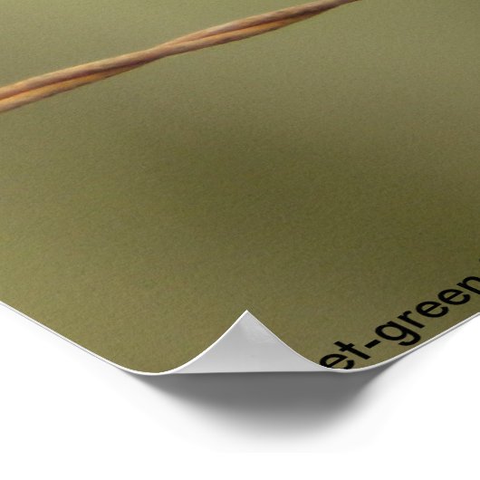 Violett-grünes Siloposter Poster (Ecke)