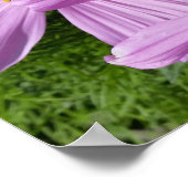Violett in der Sonne Poster (Ecke)