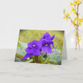 Violett, Karte (Gelbe Blume)