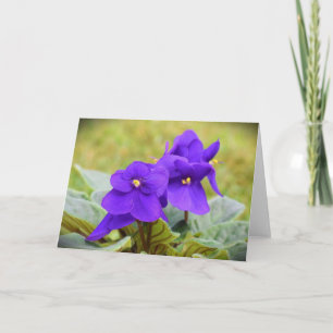Violett, Karte