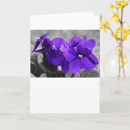 Violett, Karte (Gelbe Blume)