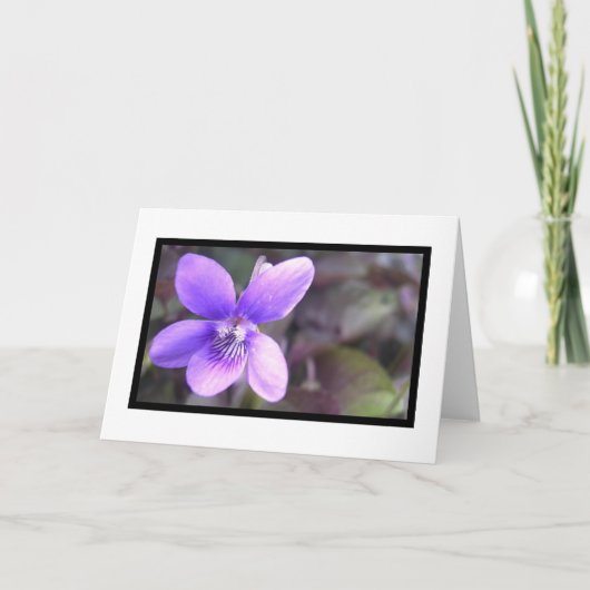 Violett Karte (Vorderseite)