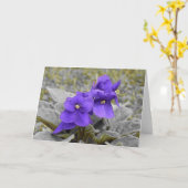 Violett, Karte (Gelbe Blume)