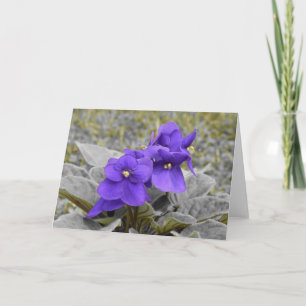 Violett, Karte