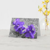 Violett, Karte (Gelbe Blume)