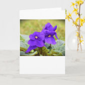 Violett, Karte (Gelbe Blume)
