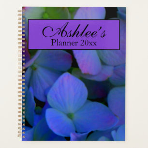 Violett lila rosa blau Blaue Hortensien Blumen Planer
