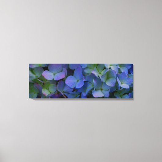 Violett lila rosa blaue Hydrangeas-Blume Leinwanddruck (Vorderseite)