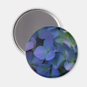 Violett lila-rosa-blaue Hydrangeas-Blume Magnet (Vorderseite/Rückseite)
