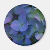 Violett lila-rosa-blaue Hydrangeas-Blume Magnet (Vorne)