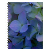 Violett lila-rosa-blaue Hydrangeas-Blume Notizblock (Vorderseite)