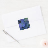 Violett lila-rosa-blaue Hydrangeas-Blume Quadratischer Aufkleber (Umschlag)