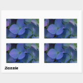 Violett lila-rosa-blaue Hydrangeas-Blume Rechteckiger Aufkleber (Blatt)