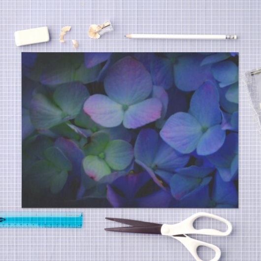 Violett lila-rosa-blaue Hydrangeas-Blume Seidenpapier (Handwerk)