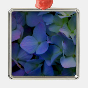 Violett lila-rosa-blaue Hydrangeas-Blume Silbernes Ornament