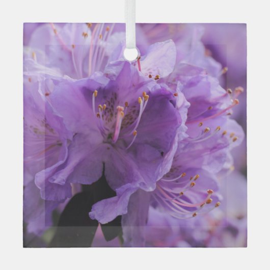 VIOLETT ORNAMENT AUS GLAS (Vorderseite)