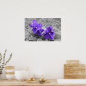 Violett, Poster (Küche)