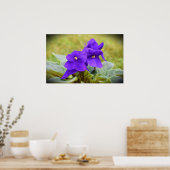 Violett, Poster (Küche)