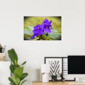 Violett, Poster (Heimbüro)