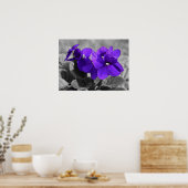 Violett, Poster (Küche)