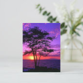 Violett und rosa Sonnenuntergang Postkarte (Stehend Vorderseite)
