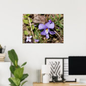 Violett von Vögeln mit Bluets Wildblume Poster (Heimbüro)