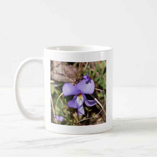 Violett von Vögeln mit Blüten Kaffeetasse (Links)