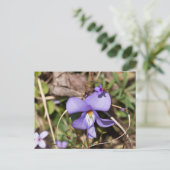 Violett von Vögeln mit Blüten Postkarte (Stehend Vorderseite)