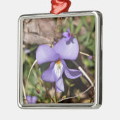 Violett von Vögeln mit Blüten Silbernes Ornament (Links)