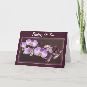 Violett Weißes Orchideen Foto Denken Sie an Ihre V Karte