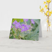 Violett Wildblume Lila Geranium Foto Karte (Gelbe Blume)