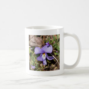 Violettblättriges Stiefmütterchen mit Vergissmeinn Kaffeetasse