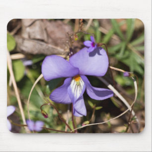 Violettblättriges Stiefmütterchen mit Vergissmeinn Mousepad